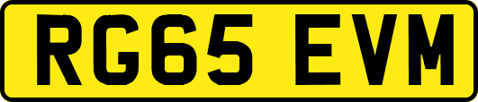 RG65EVM