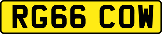 RG66COW