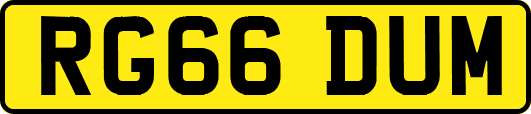 RG66DUM