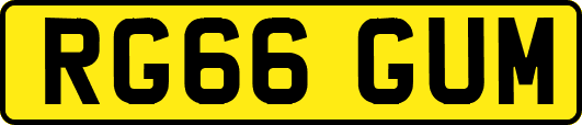 RG66GUM