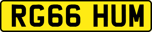 RG66HUM