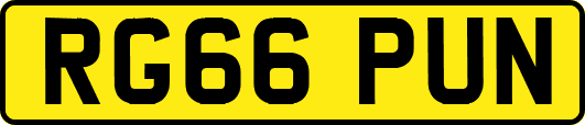 RG66PUN
