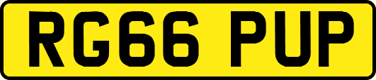 RG66PUP