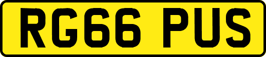 RG66PUS