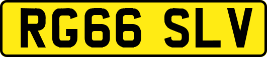 RG66SLV