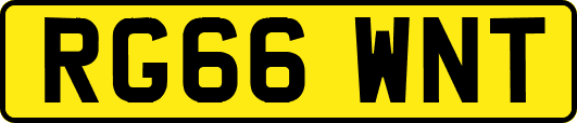 RG66WNT