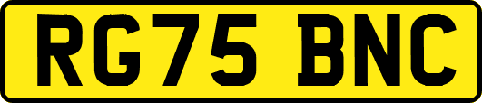 RG75BNC
