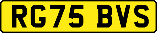RG75BVS