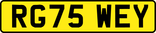 RG75WEY