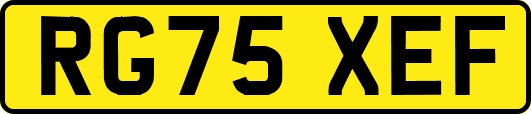 RG75XEF