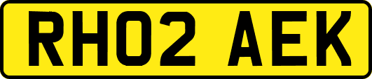 RH02AEK