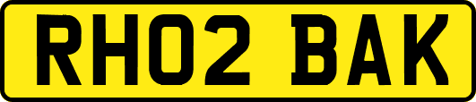 RH02BAK