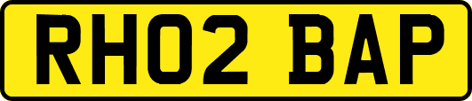 RH02BAP