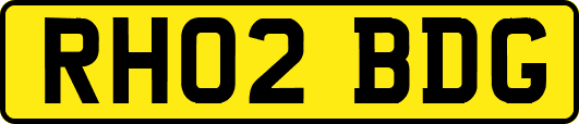 RH02BDG