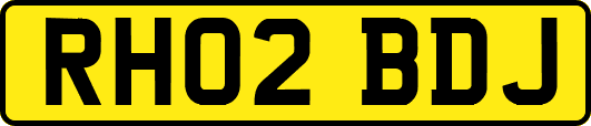 RH02BDJ