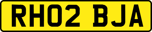 RH02BJA