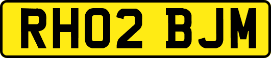 RH02BJM