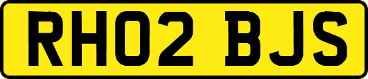 RH02BJS