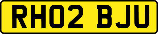 RH02BJU