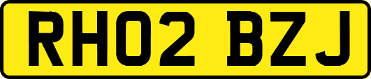 RH02BZJ