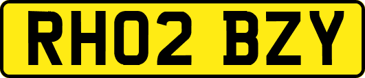 RH02BZY