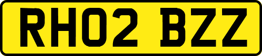 RH02BZZ