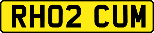 RH02CUM