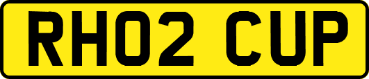 RH02CUP