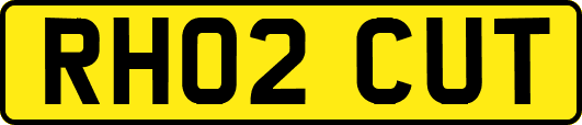 RH02CUT
