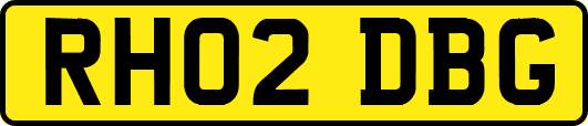 RH02DBG