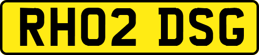 RH02DSG