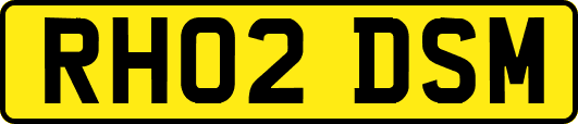 RH02DSM