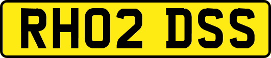 RH02DSS