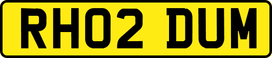 RH02DUM