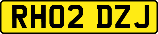 RH02DZJ