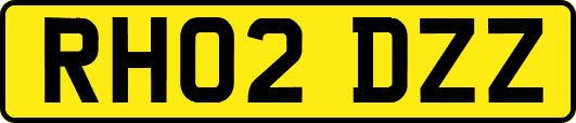 RH02DZZ