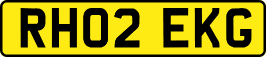RH02EKG