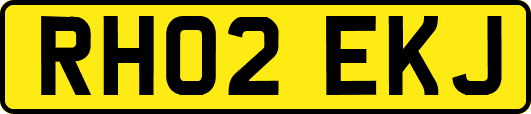 RH02EKJ