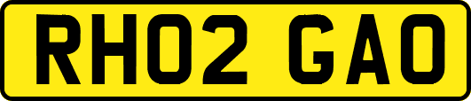 RH02GAO