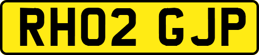 RH02GJP