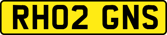RH02GNS