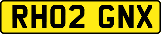 RH02GNX