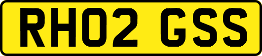 RH02GSS
