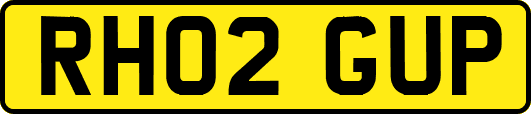RH02GUP