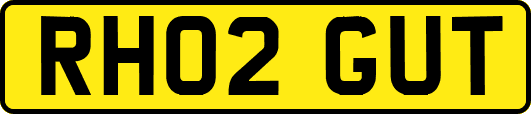 RH02GUT