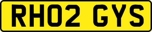 RH02GYS
