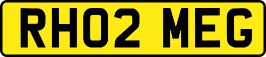 RH02MEG