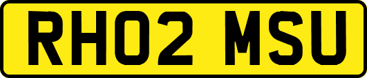 RH02MSU