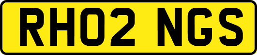 RH02NGS