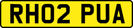 RH02PUA